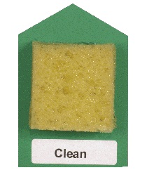 piece of sponge on card