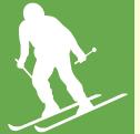 Snow Skiing Icon