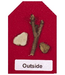 rocks and twigs in the center of the card