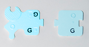 Photograph of a light blue nucleotide subunit (G) from the DNA-RNA Kit on the left and a light blue nucleotide subunit (G) from the PSK on the right