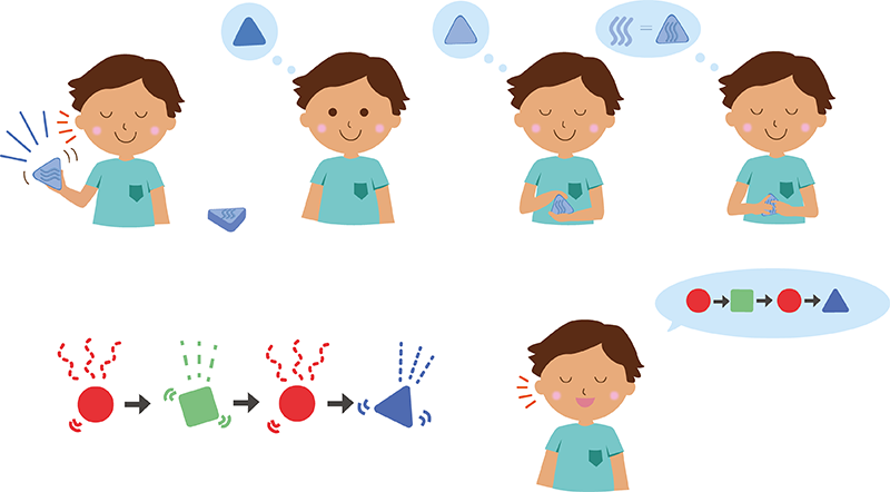A student—with closed eyes—shakes a blue triangle sensory tile. He then looks at the tile, and a thought bubble over his head shows a blue tile. With eyes closed again, the student explores the shape of the tile and the thought bubble remains. Finally, the boy with eyes still closed, traces the wavy lines on the tile and his thought bubble changes to three wavy line = blue tile with wavy line pattern. Below are four tiles side-by-side: A red circle tile shakes with dashed curvy lines symbolizing the sound it makes, a green square tile shakes with dot dash dot straight lines symbolizing the sound it makes, the red circle tile is repeated, and a blue triangle tile shakes with dashed straight lines symbolizing the sound it makes. Next to the four tiles is a boy with eyes closed. A thought bubble over his head shows a red circle, green square, red circle, and blue triangle.