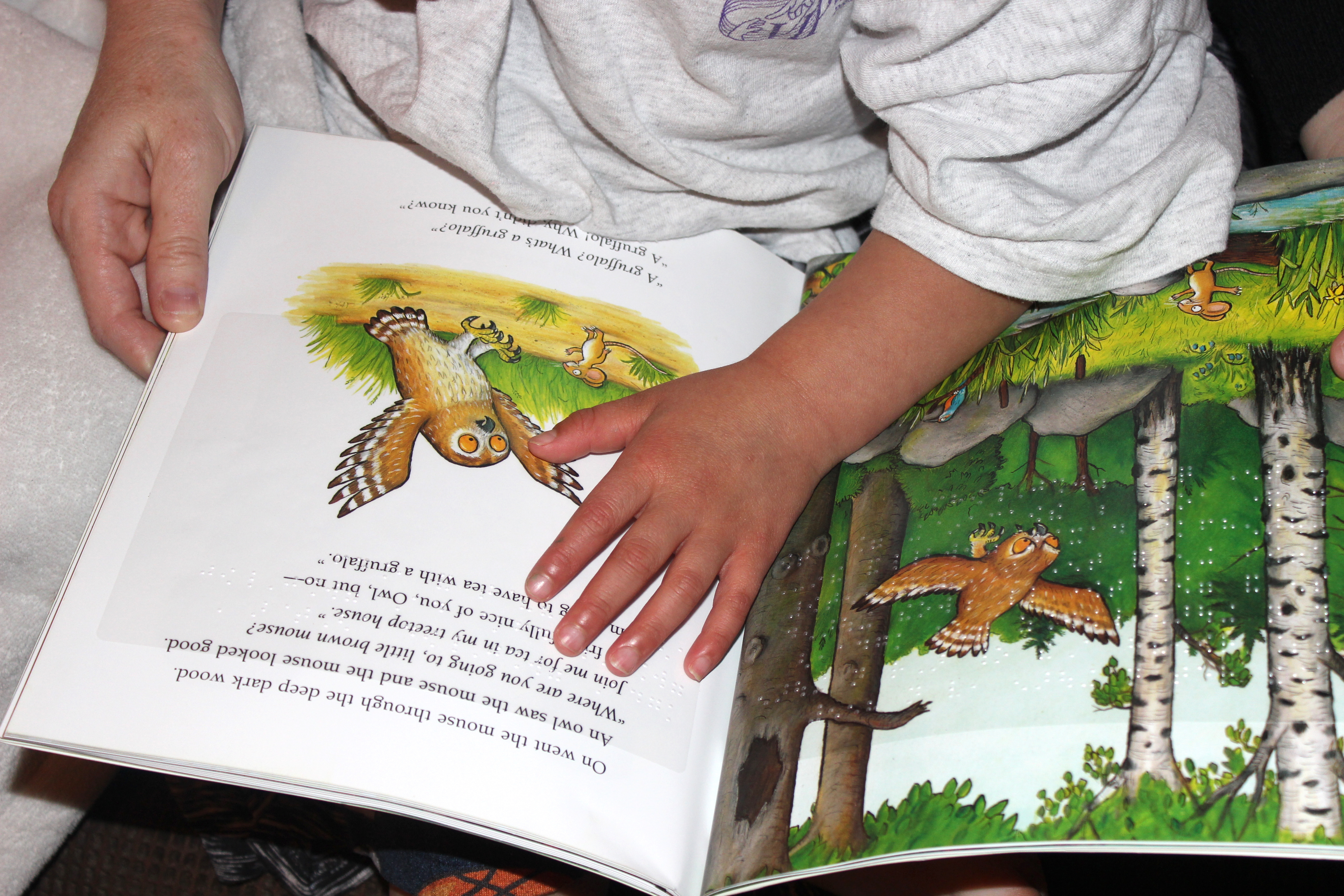 Close-up photo of Alex reading 'The Gruffalo'