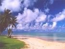 Photo of a sandy beach with water and palm trees