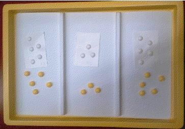 this Work Play Tray contains a tactile graphic of raised dots paired with an equal number of small round pieces of candy