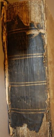 Spine with title label