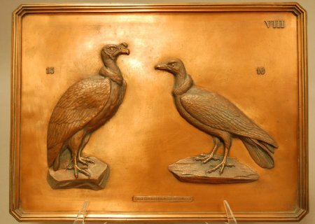 Cast copper plate, Vultures
